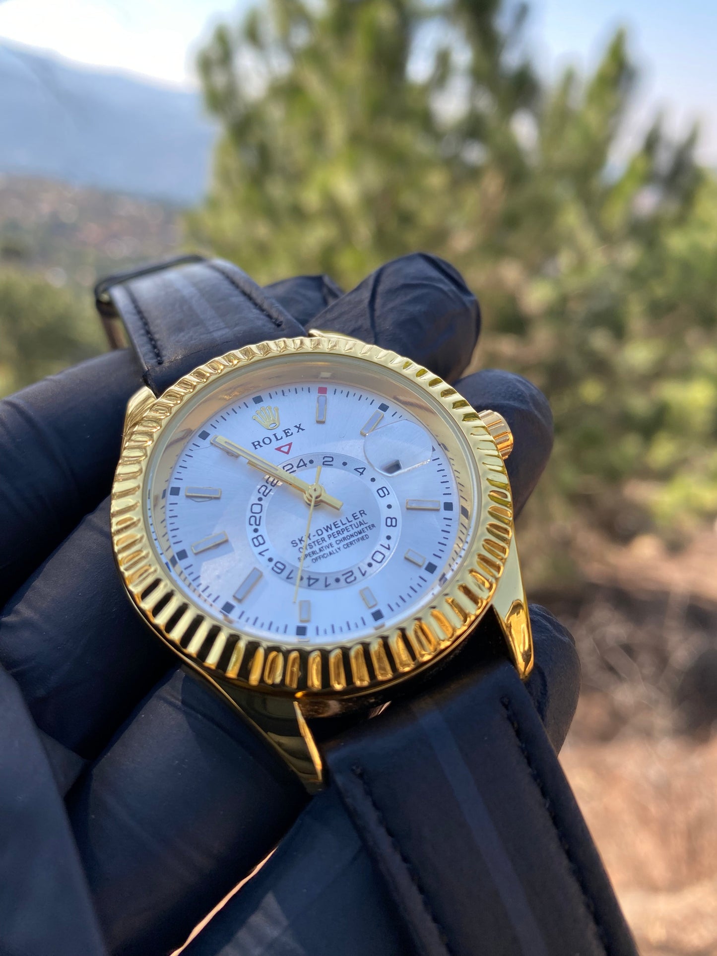 Rolex sky-dweller with leather strap